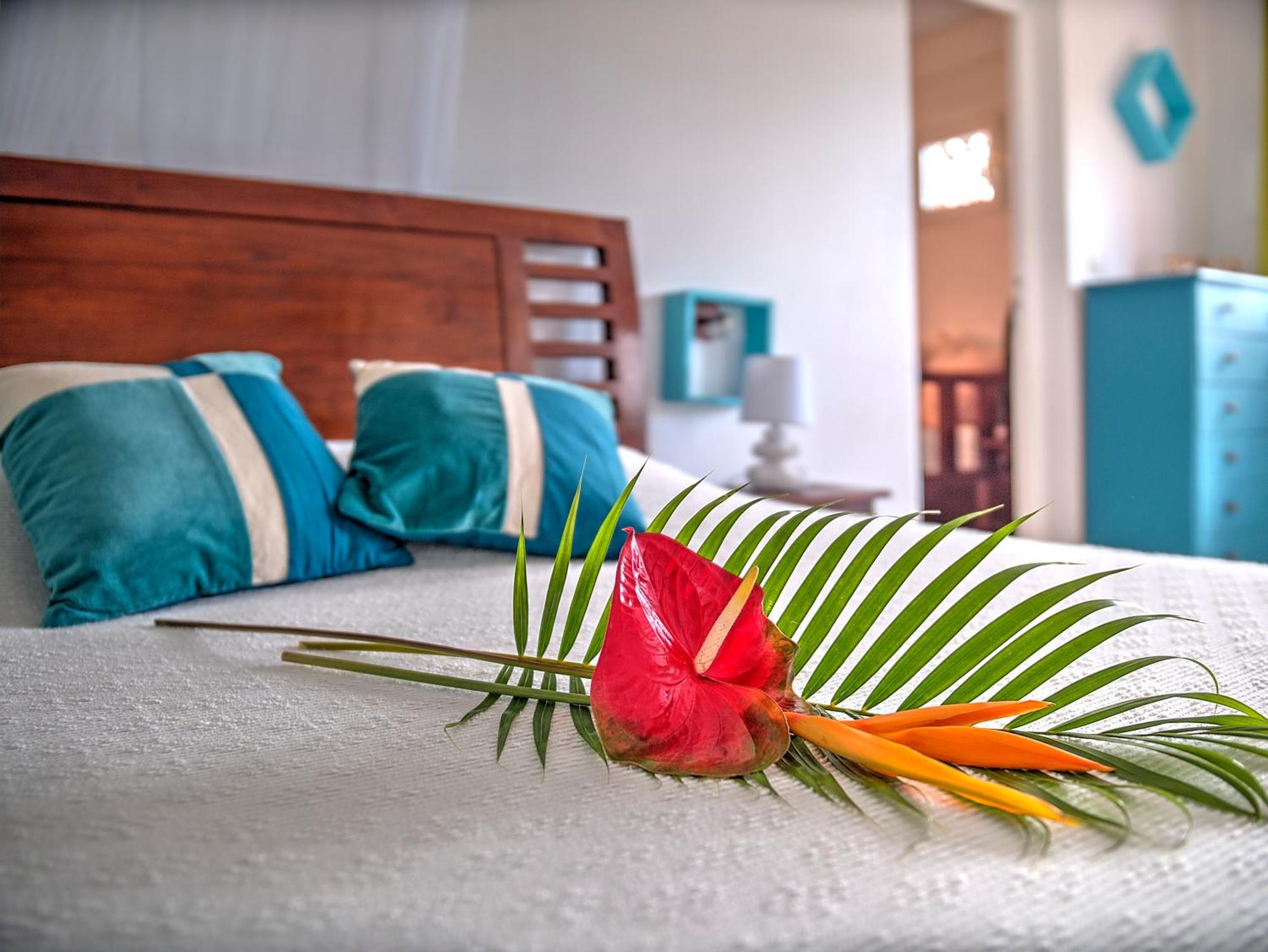 Habitation Bellevue Apartment Sainte-Anne Ruang foto